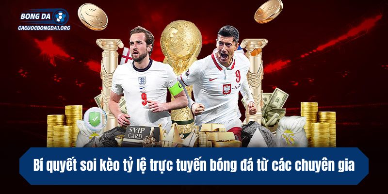 Bí quyết soi kèo tỷ lệ trực tuyến bóng đá từ các chuyên gia