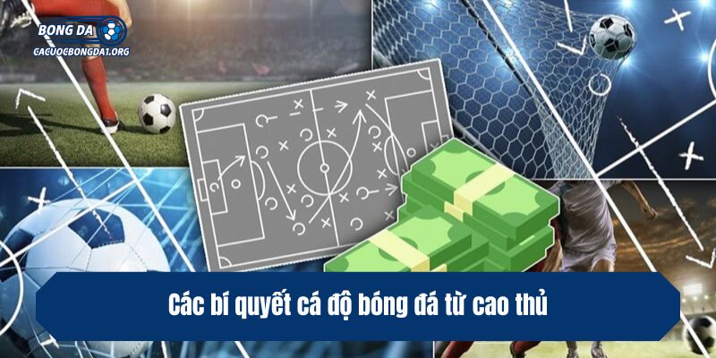 Các bí quyết cá độ bóng đá từ cao thủ