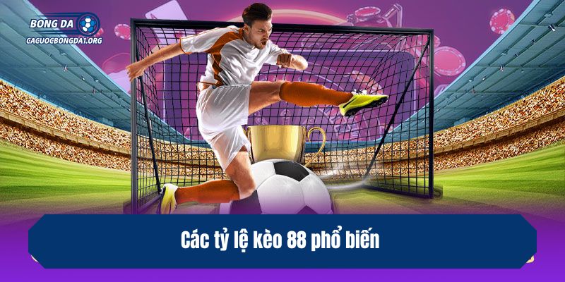 Các tỷ lệ kèo 88 phổ biến
