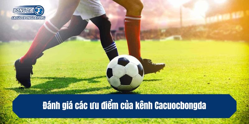 Đánh giá các ưu điểm của kênh Cacuocbongda