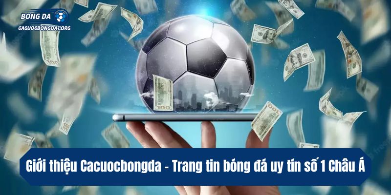 Giới thiệu Cacuocbongda - Trang tin bóng đá uy tín số 1 Châu Á