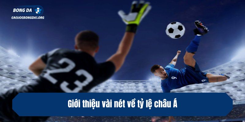 Giới thiệu vài nét về tỷ lệ châu Á