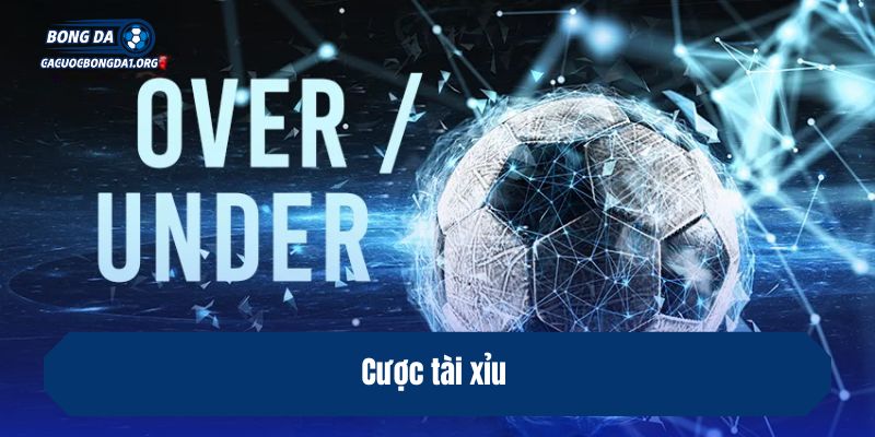Cược tài xỉu 