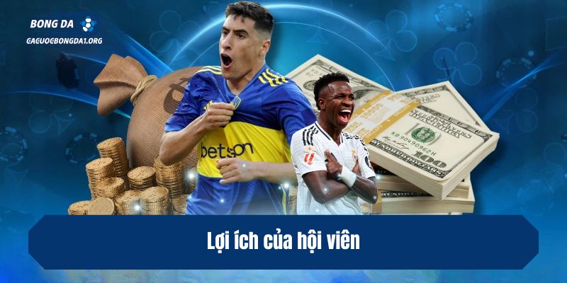 Lợi ích của hội viên