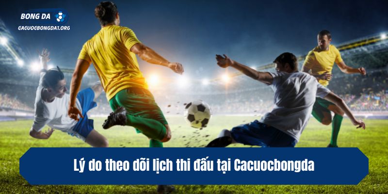 Lý do theo dõi lịch thi đấu tại Cacuocbongda