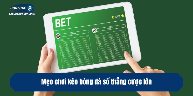 Mẹo chơi kèo bóng đá số thắng cược lớn