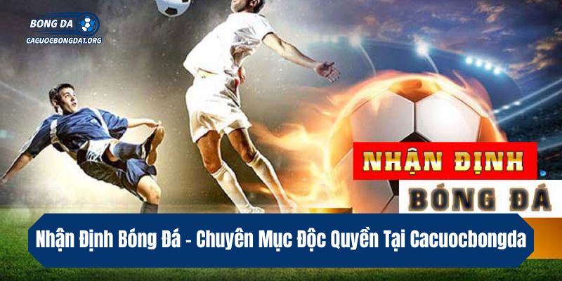 Nhận Định Bóng Đá – Chuyên Mục Độc Quyền Tại Cacuocbongda