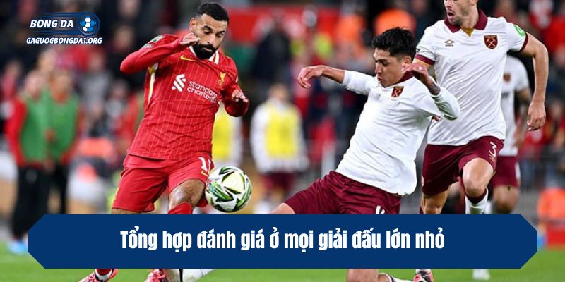 Tổng hợp đánh giá ở mọi giải đấu lớn nhỏ