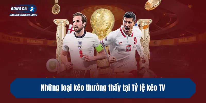 Những loại kèo thường thấy tại Tỷ lệ kèo TV