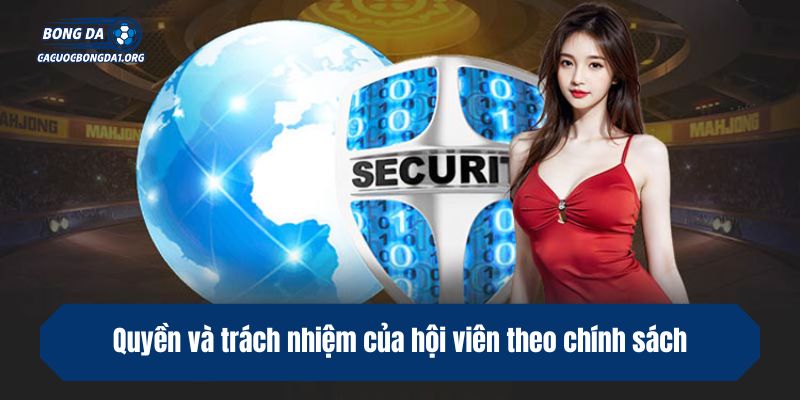 Quyền và trách nhiệm của hội viên theo chính sách