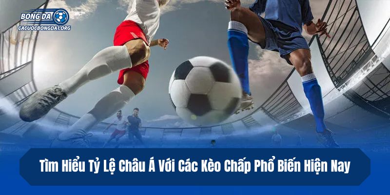 Tìm Hiểu Tỷ Lệ Châu Á Với Các Kèo Chấp Phổ Biến Hiện Nay