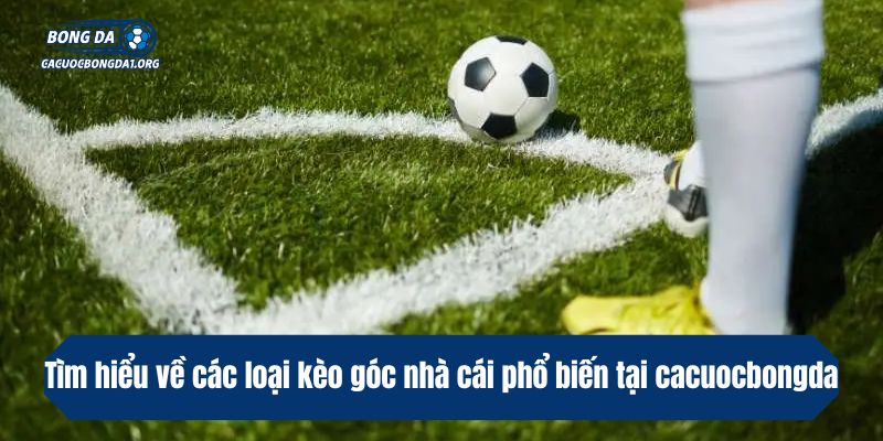 Tìm hiểu về các loại kèo góc nhà cái phổ biến tại cacuocbongda