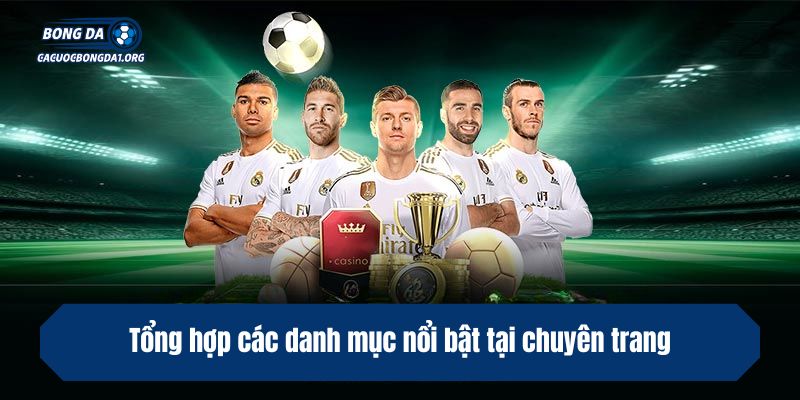 Tổng hợp các danh mục nổi bật tại chuyên trang