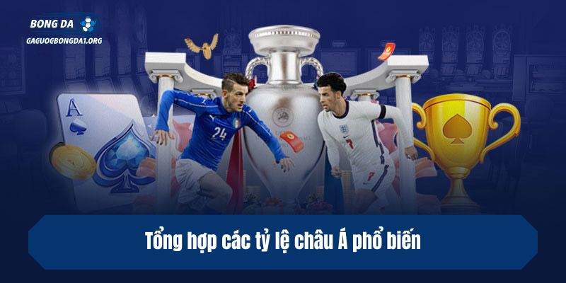 Tổng hợp các tỷ lệ châu Á phổ biến