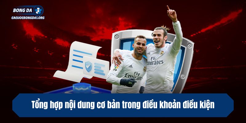 Tổng hợp nội dung cơ bản trong điều khoản điều kiện nhà cái