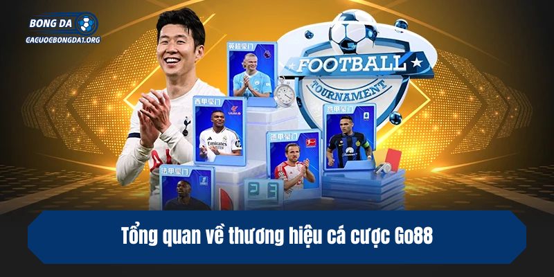 Tổng quan về thương hiệu cá cược Go88