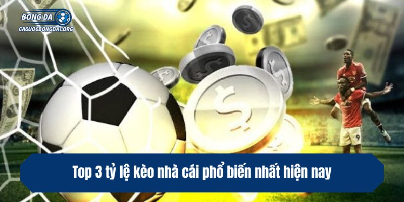 Top 3 tỷ lệ kèo nhà cái phổ biến nhất hiện nay