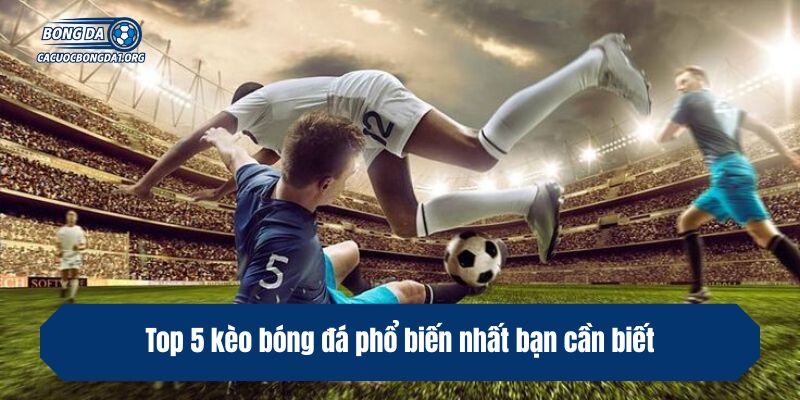 Top 5 kèo bóng đá phổ biến nhất bạn cần biết
