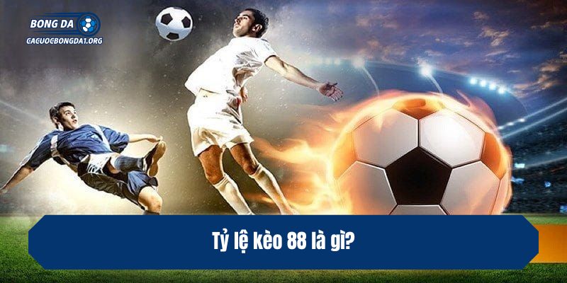 Tỷ lệ kèo 88 là gì?