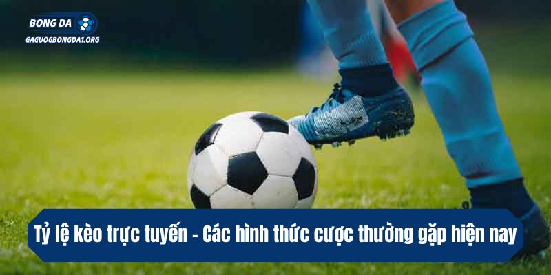 Tỷ lệ kèo trực tuyến - Các hình thức cược thường gặp hiện nay
