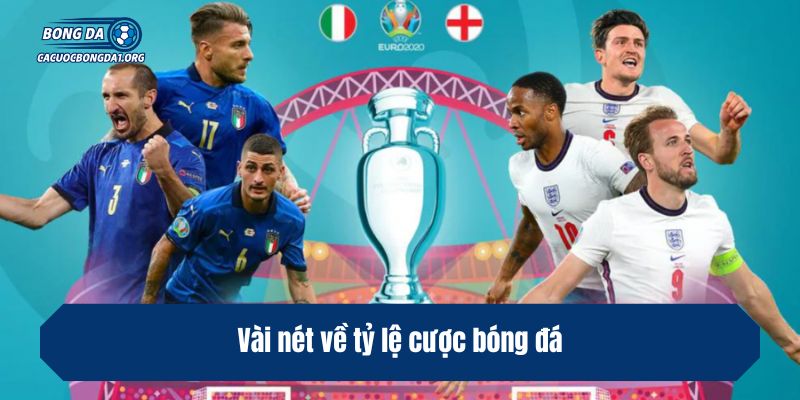 Vài nét về tỷ lệ cược bóng đá