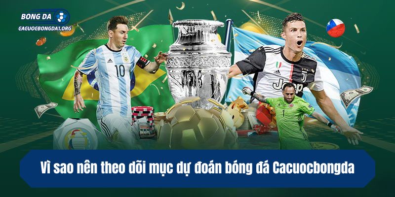 Vì sao nên theo dõi mục dự đoán bóng đá Cacuocbongda